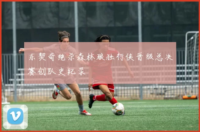 东契奇绝杀森林狼独行侠晋级总决赛创队史纪录