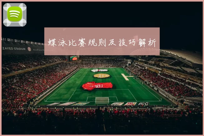 蝶泳比赛规则及技巧解析
