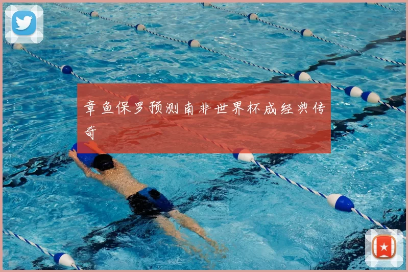章鱼保罗预测南非世界杯成经典传奇