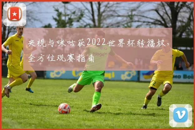 央视与咪咕获2022世界杯转播权，全方位观赛指南