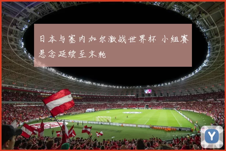 日本与塞内加尔激战世界杯 小组赛悬念延续至末轮
