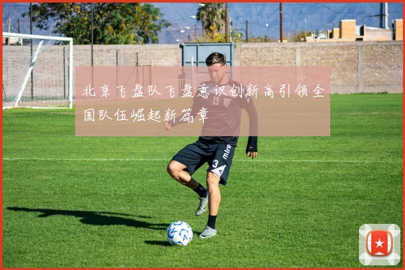 北京飞盘队飞盘意识创新高引领全国队伍崛起新篇章