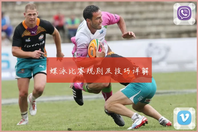 蝶泳比赛规则及技巧详解