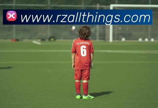 华体会体育发展历程